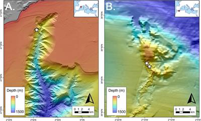 Mediterranean Coral Provinces as a Sponge Diversity Reservoir: Is There a Mediterranean Cold-Water Coral Sponge Fauna?